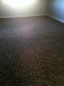 carpet repair boise idaho